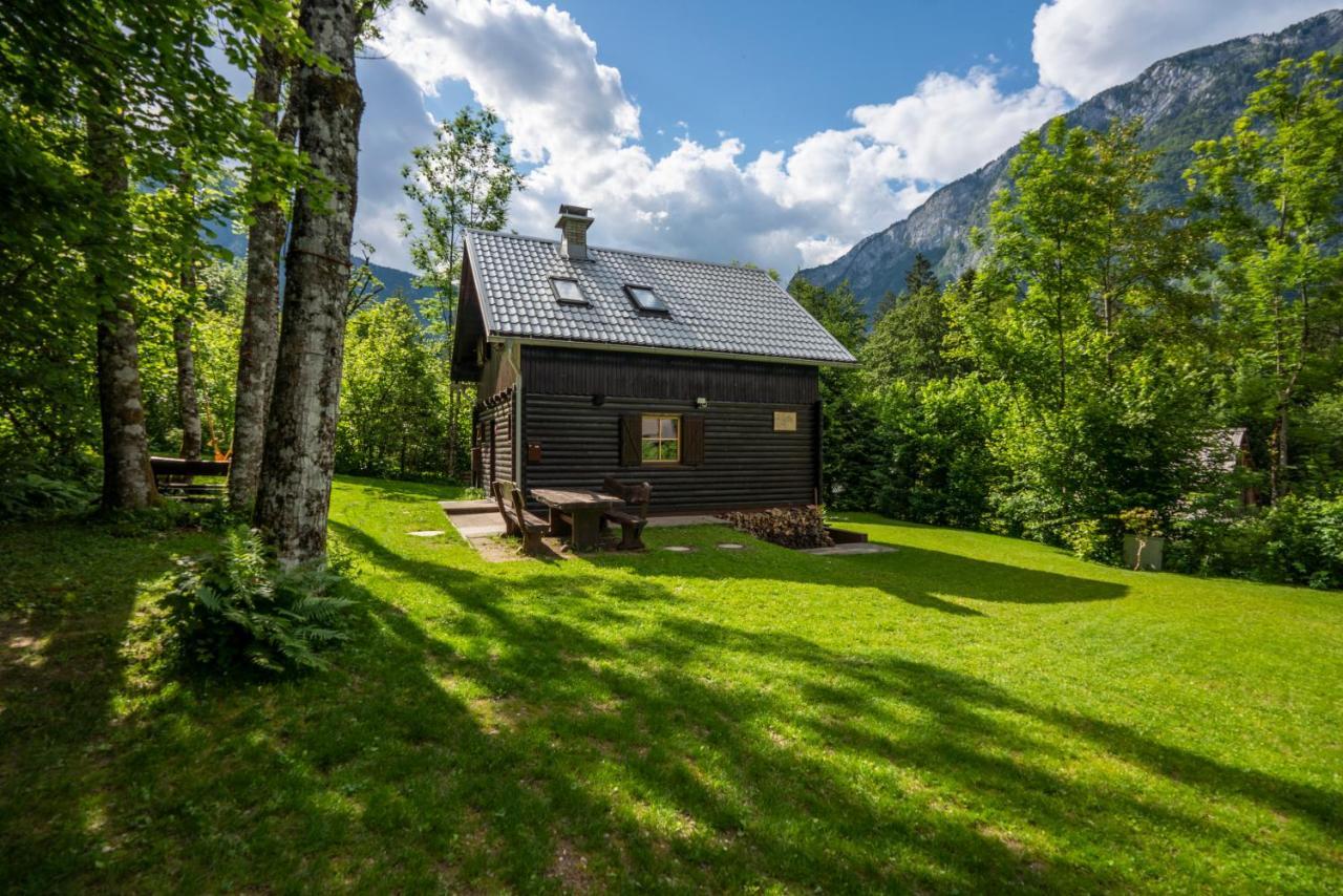 Chalet Tisa Bohinj Exteriör bild